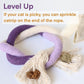 🔥LAST DAY 49% OFF😻Catnip Chew Rope Toy – Natural, Safe Tooth Cleaner for Indoor Cats🐱