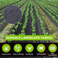 🔥Last Day 49% OFF - Premium Woven Weed Barrier🌿