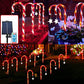 🔥Last day 50% off - 8Pcs Solar Christmas Candy Cane Lights