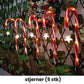 🔥Last day 50% off - 8Pcs Solar Christmas Candy Cane Lights
