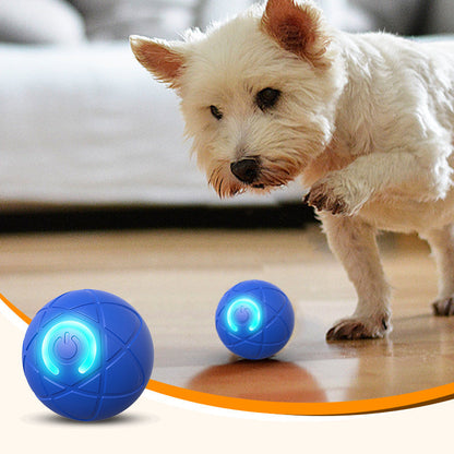 📢📢30% OFF !! ⏰Interactive bouncing ball specially designed for dogs.🐾🐾