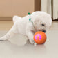 📢📢30% OFF !! ⏰Interactive bouncing ball specially designed for dogs.🐾🐾