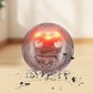 📢📢30% OFF !! ⏰Interactive bouncing ball specially designed for dogs.🐾🐾